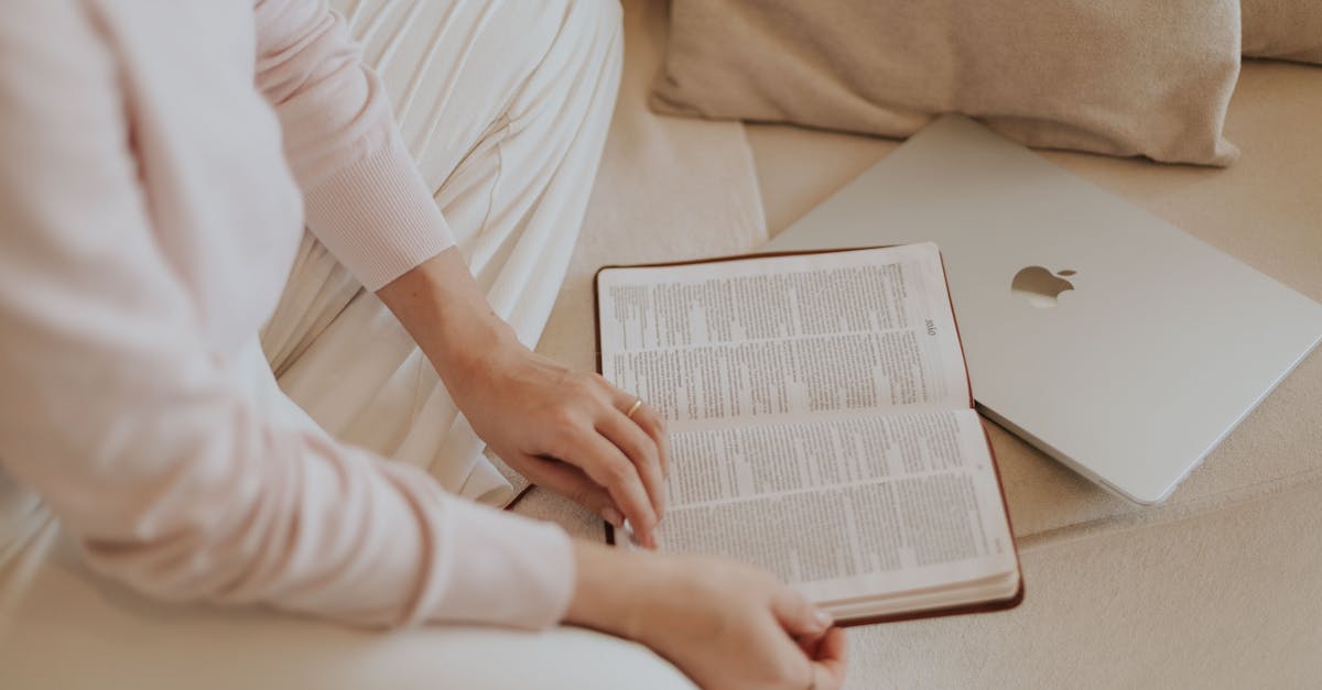 Evite conflitos: 5 passos para pets harmoniosos