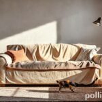 Móveis protegidos de arranhões de pets