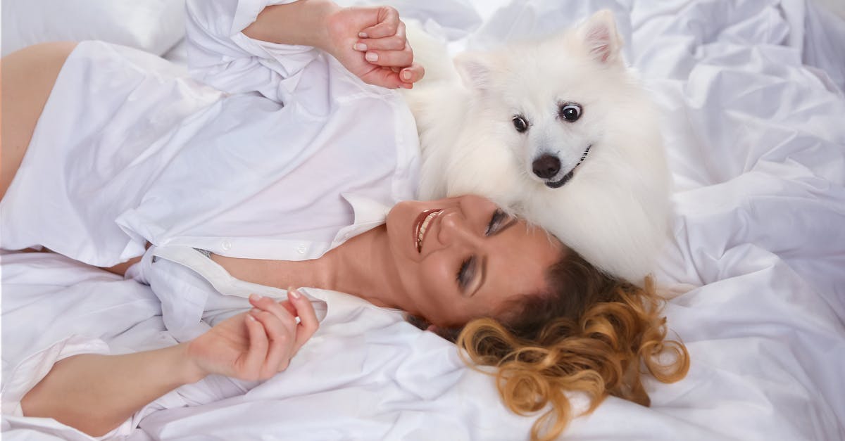 Como saber se seu pet sente saudade?