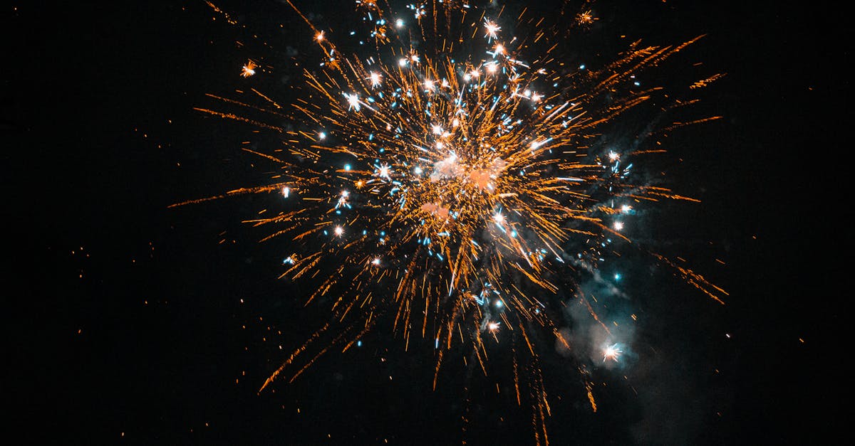 Dicas infalíveis para acalmar seu cachorro no barulho