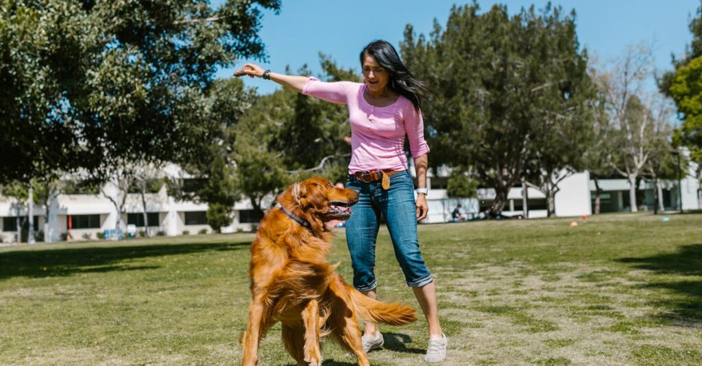 O limite do manejo responsável do pet e seus impactos na sustentabilidade do setor em 2026