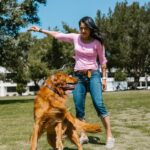 O limite do manejo responsável do pet e seus impactos na sustentabilidade do setor em 2026