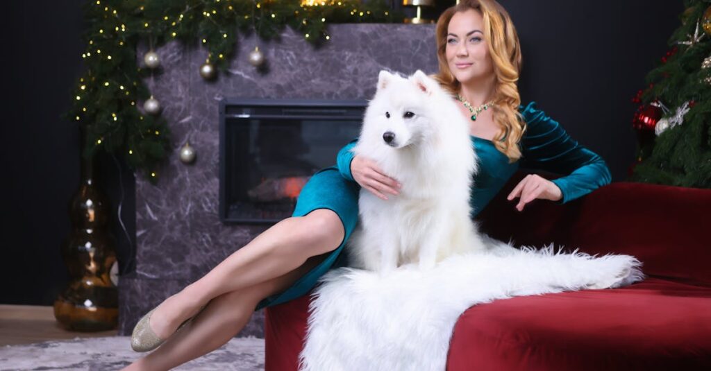 O limite de produtos premium para conforto animal e o impacto na sustentabilidade do setor pet em 2026