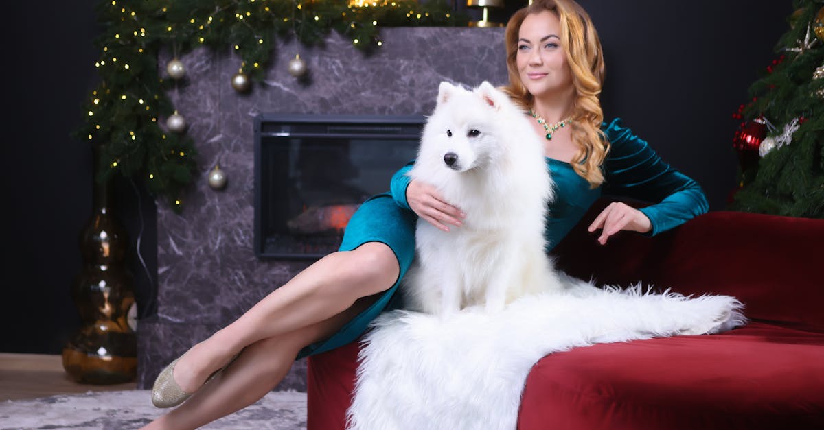 O limite de produtos premium para conforto animal e o impacto na sustentabilidade do setor pet em 2026