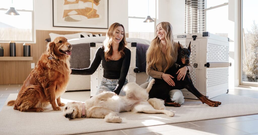 Por que o crescimento desordenado no setor pet premium merece atenção