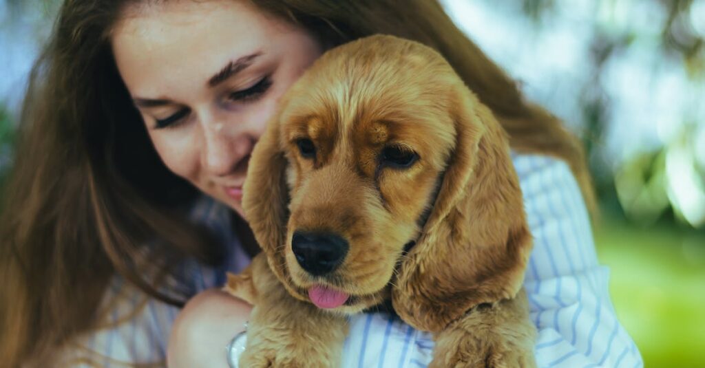 O que você precisa saber sobre a exigência por consistência no mercado pet