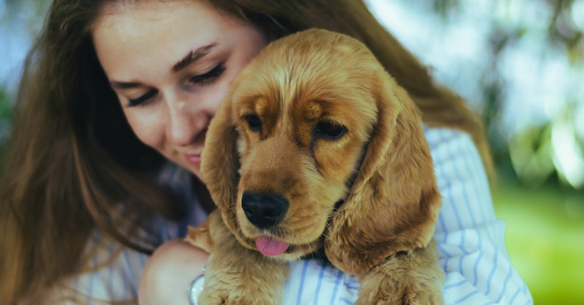 O que você precisa saber sobre a exigência por consistência no mercado pet