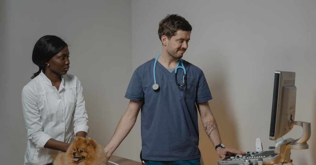 desafios da profissionalização no mercado pet — Como os desafios da profissionalização impactam o mercado pet hoje