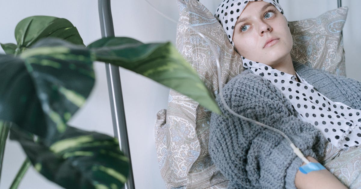 Como a dificuldade de padronização nos cuidados pet afeta o dia a dia