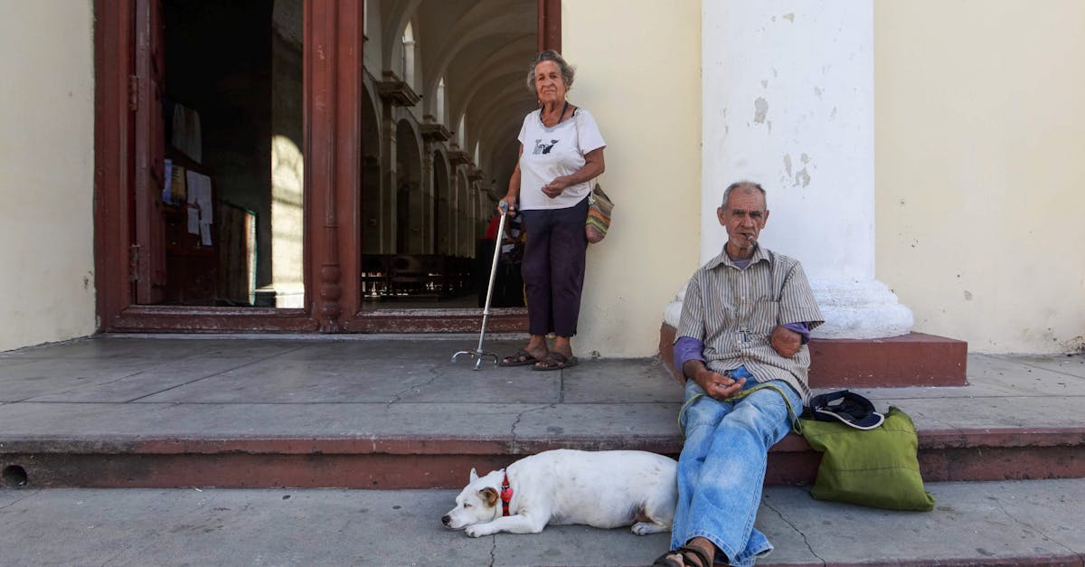 Como as mudanças no perfil de cuidado para cães idosos afetam a rotina