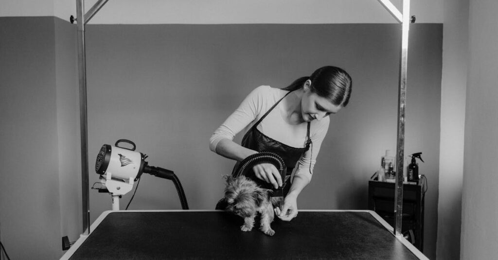 Tudo o que você precisa saber sobre cuidados gerais com pets