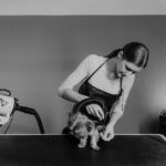 Tudo o que você precisa saber sobre cuidados gerais com pets