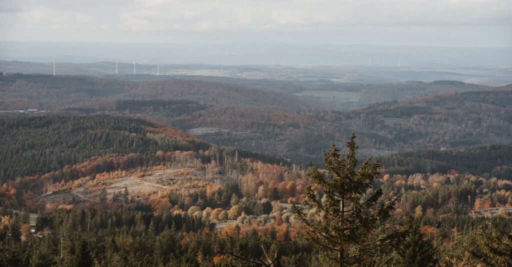 Concorrente olímpico de quatro patas surpreende fãs de cross-country