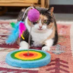 Imagem destacada sobre enriquecimento ambiental gatos guia prático - Guia Prático para Enriquecimento Ambiental de Gatos: Transformando a Rotina do Seu Pet