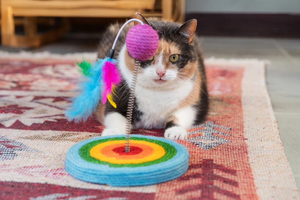 Imagem destacada sobre enriquecimento ambiental gatos guia prático - Guia Prático para Enriquecimento Ambiental de Gatos: Transformando a Rotina do Seu Pet